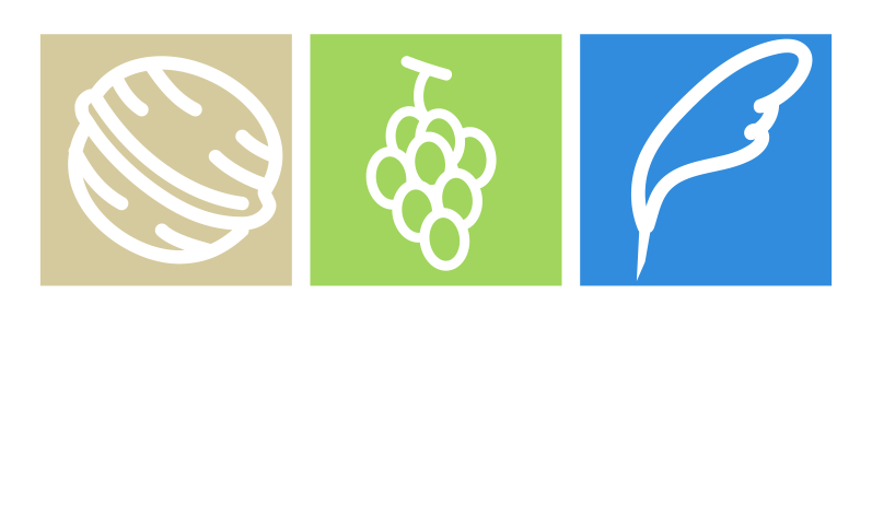 logo de noizay